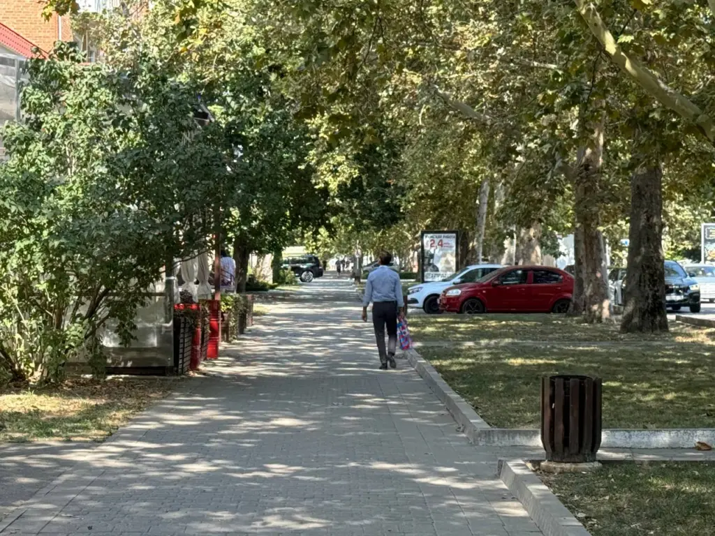 Носители такой группы крови самые здоровые: японский профессор указал на причину, почему важно знать свою группу крови