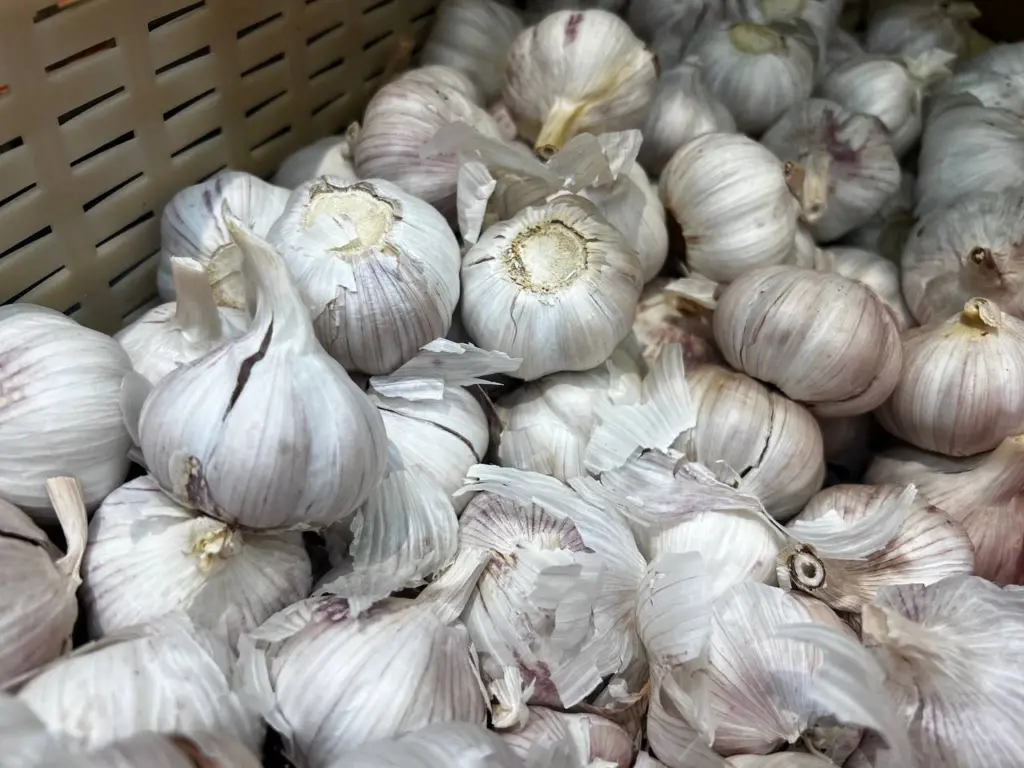 Не сажаю озимый чеснок, пока не увижу такой березу: «покажет» лучший день для посадки безошибочно — примета, проверенная годами