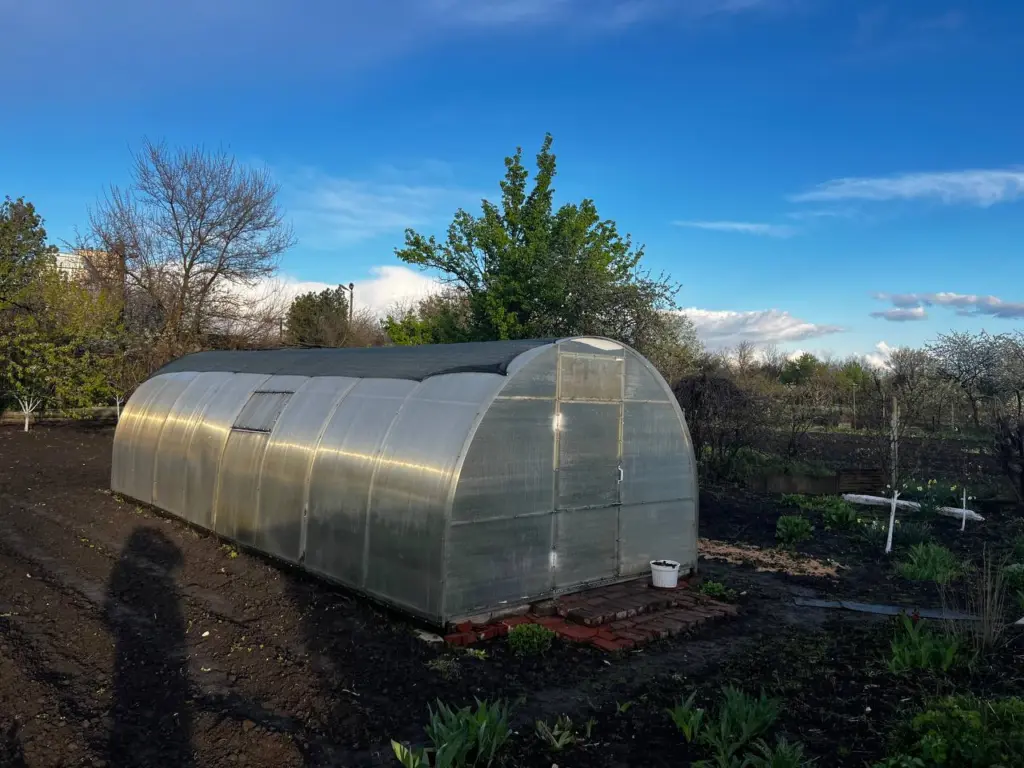 Осенью присыпаю грядки в теплице 1 стаканом «порошка» — за зиму почва сама восстанавливается