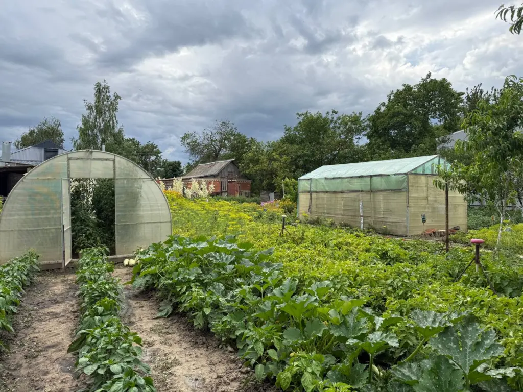 Это удобрение заменит машину навоза — как восстановить плодородие почвы осенью