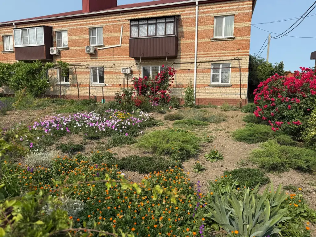 2 жмени зёрен на грядку в сентябре — и почва стала как лебединый пух: Чернозём в пролёте