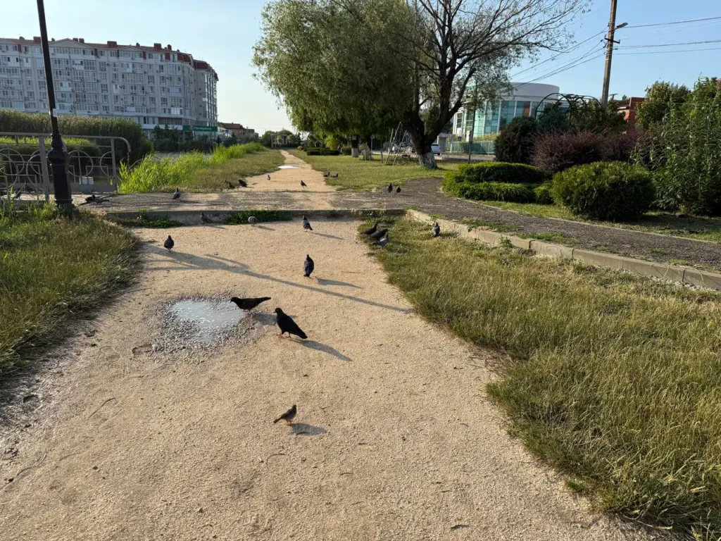 В октябре грядёт то, чего не было с 1879 года: синоптики сказали, к чему готовиться