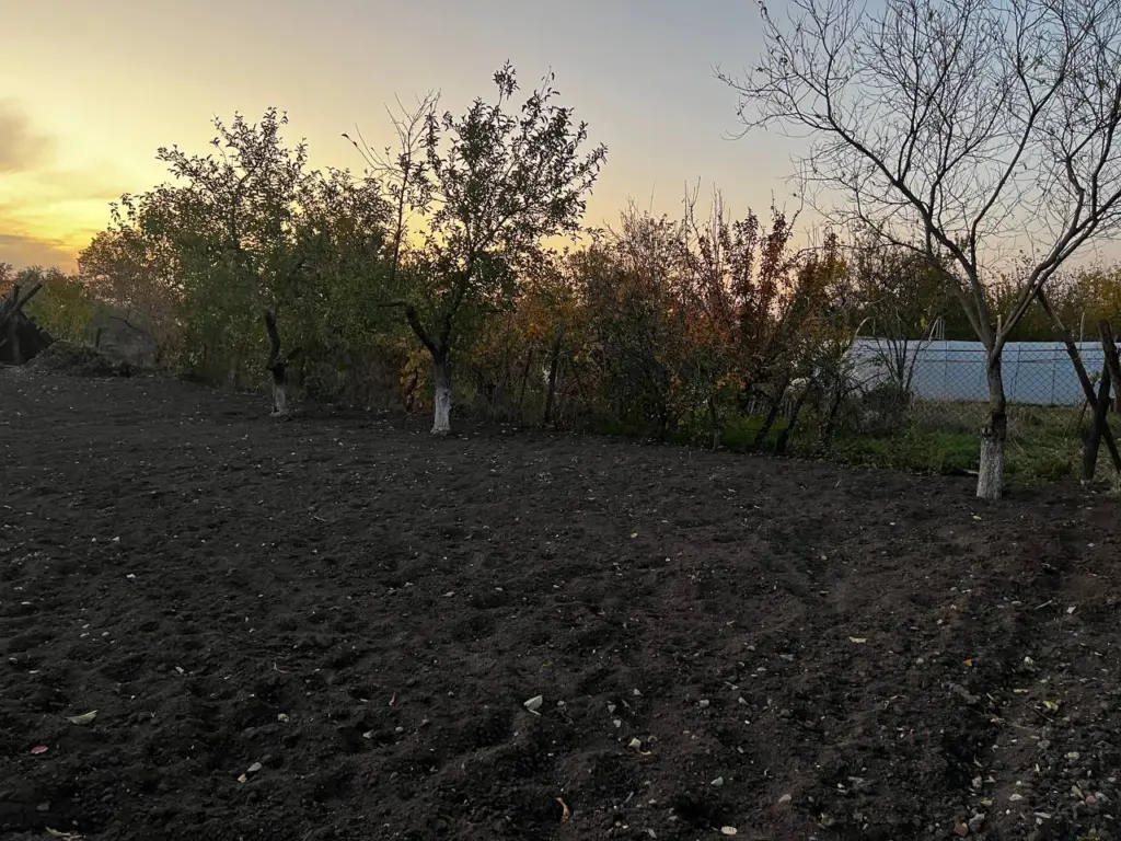 Осенью в саду — необходимо: делаем это простое действие и получаем богатырский урожай яблок, груш и малины в следующем сезоне