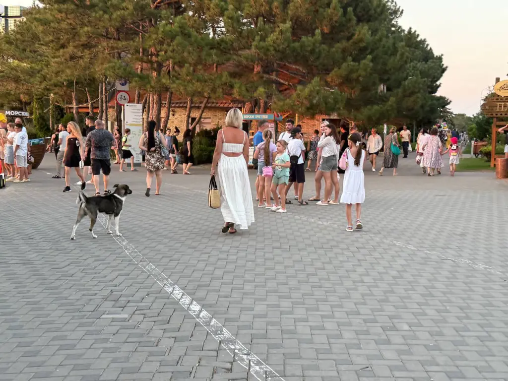 4 типа людей, от которых лучше держаться подальше: цитата мудрого Омара Хайяма