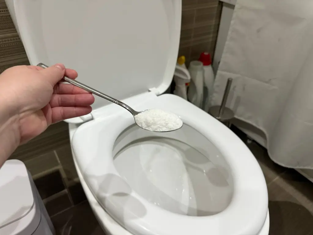 Просто засыпьте 1 ложку и ложитесь спать: на утро унитаз вас удивит