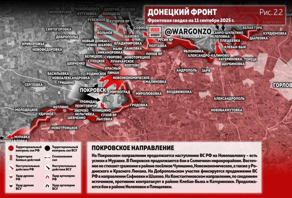 Варгонзо: Фронтовая сводка на утро 11.09.25