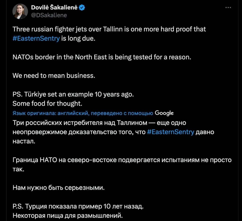 Министр обороны Литвы призвала сбивать российские истребители при «нарушении» границ НАТО