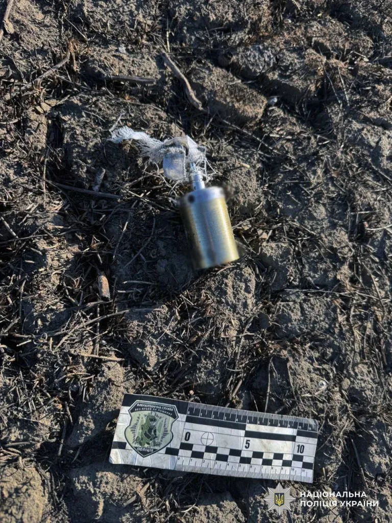 Северокорейские суббоеприпасы, предположительно, от 240-мм кассетных реактивных снарядов РСЗО M1991 производства КНДР. Херсонская область