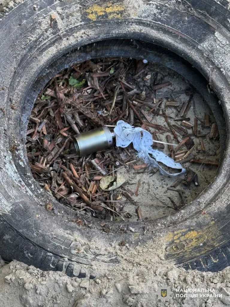 Северокорейские суббоеприпасы, предположительно, от 240-мм кассетных реактивных снарядов РСЗО M1991 производства КНДР. Херсонская область