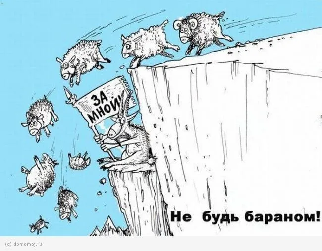 Юрий Подоляка: Как барана на бойню