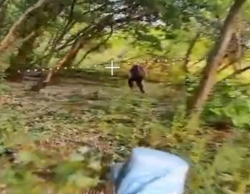 Утренние пробежки с «Вегой»