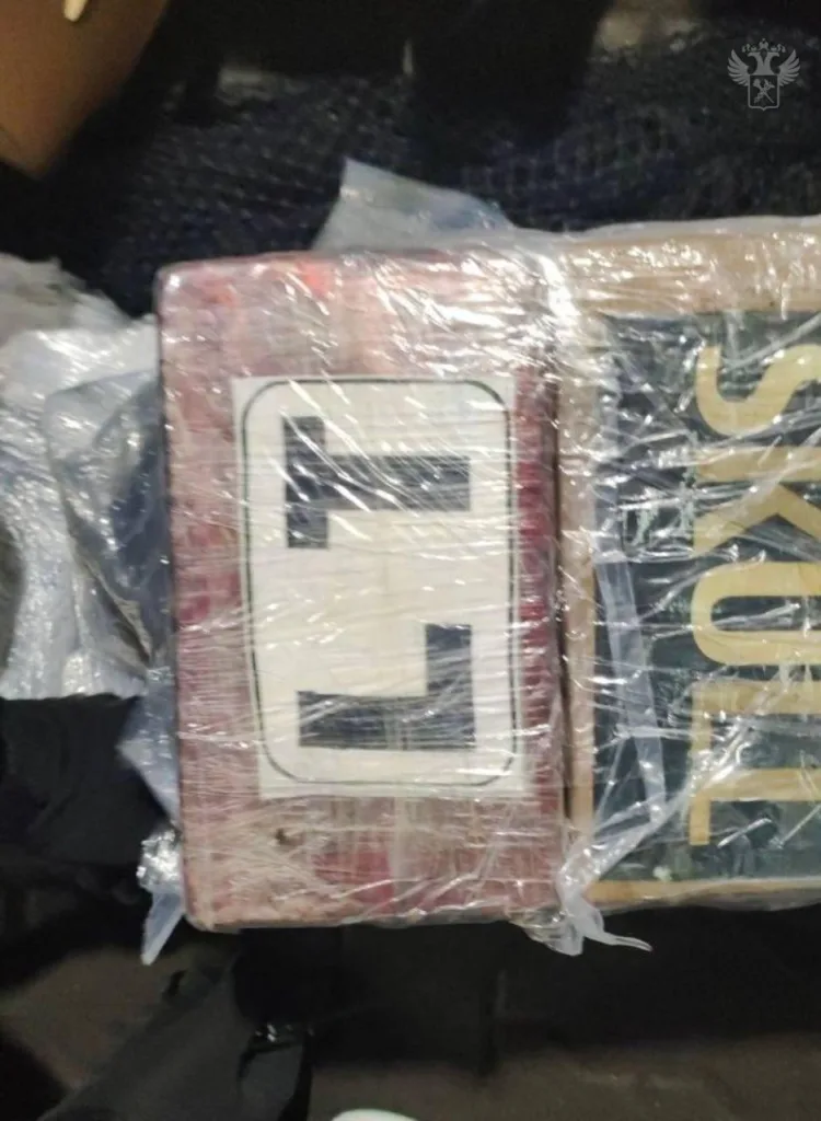 Полторы тонны кокаина в бананах: крупнейшая контрабанда задержана в Петербурге