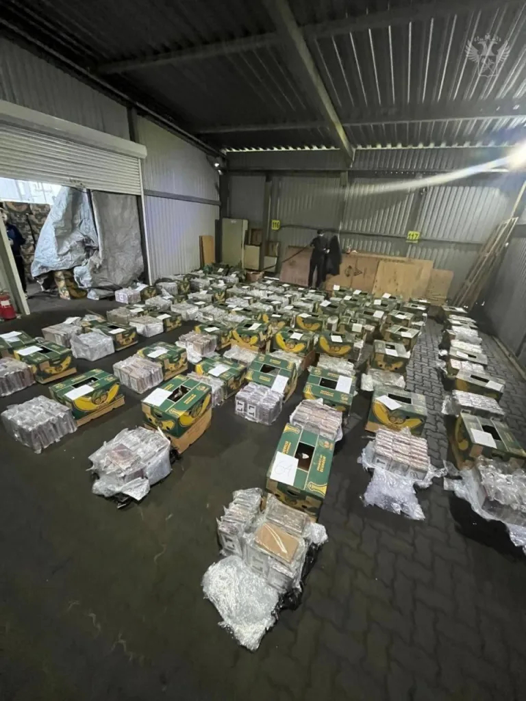 Полторы тонны кокаина в бананах: крупнейшая контрабанда задержана в Петербурге