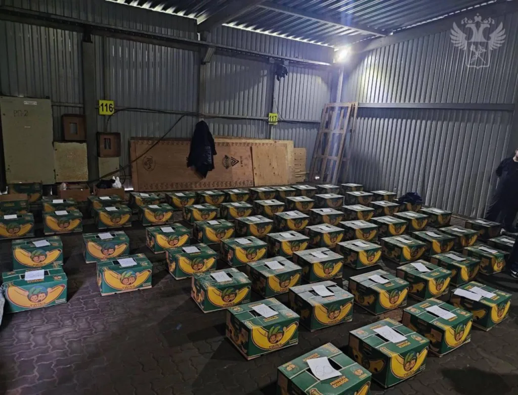 Полторы тонны кокаина в бананах: крупнейшая контрабанда задержана в Петербурге