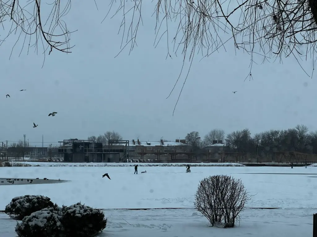 Зима-2026 ожидается аномальной: синоптики призвали дачников подготовиться — прогноз