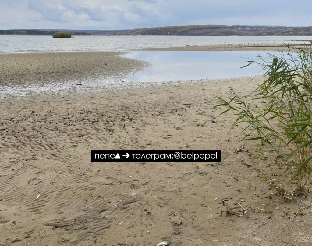 После сброса воды фиксируется понижение ее уровня в Белгородском водохранилище примерно на метр (села Нижний Ольшанец и Маслова Пристань), а также, соответственно, его повышение в селах ниже по течению (Безлюдовка, Нежиголь)