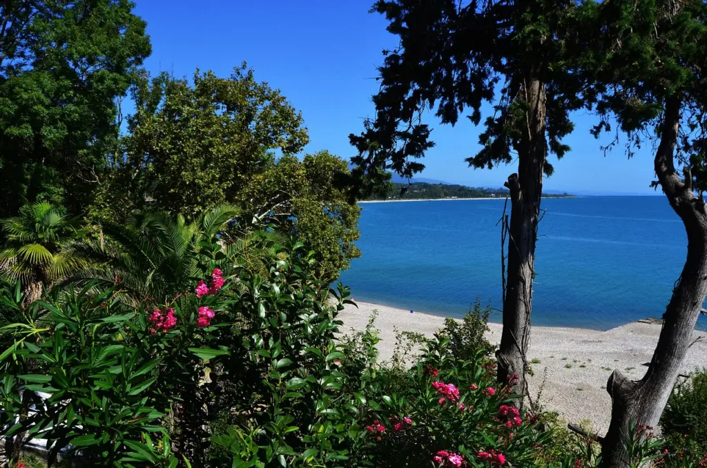 «Злые люди, змеи, грязь и отвратительная еда»: туристы делятся своим разочарованием от визита в Абхазию