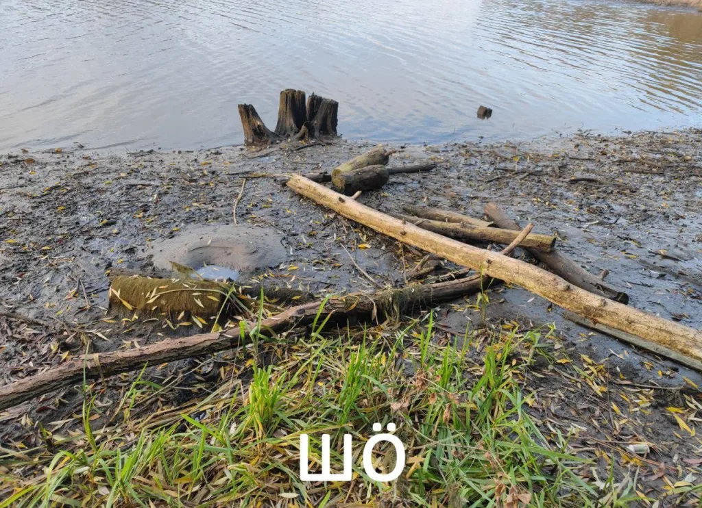 После сброса воды фиксируется понижение ее уровня в Белгородском водохранилище примерно на метр (села Нижний Ольшанец и Маслова Пристань), а также, соответственно, его повышение в селах ниже по течению (Безлюдовка, Нежиголь)