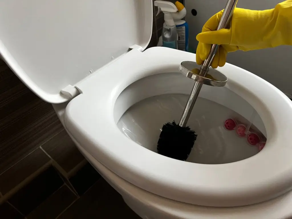 Намываю унитаз каждый день, а воняет дурно все равно: раскрыта одна маленькая деталь — не все знают о ней или забывают