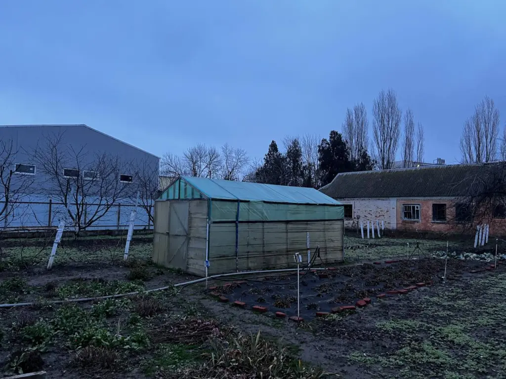 Только не лавровый лист: что закопать в почву осенью, чтобы избавиться от вредителей — запомните на всю жизнь