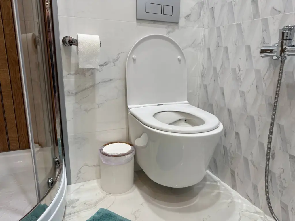 Только в 40 лет узнал, почему никогда не надо смывать туалетную бумагу в унитаз: вот, в чем загвоздка