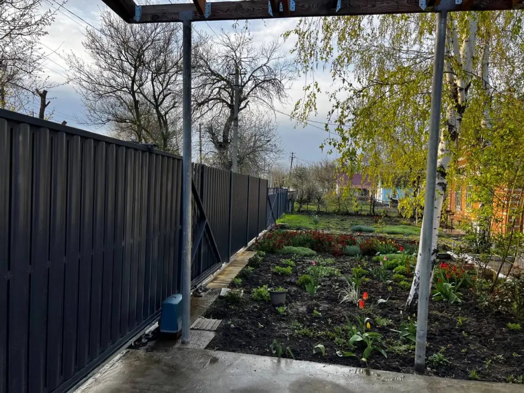 Почему березу не используют для строительства домов — намотайте себе на ус