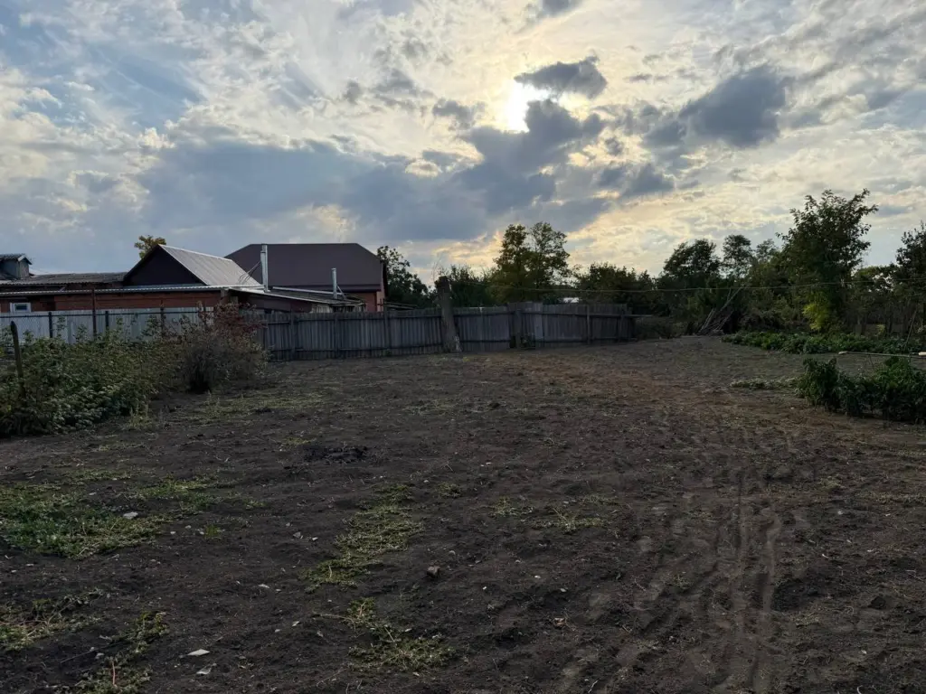 Закопала лавровый лист в огороде — и спокойно сплю всю зиму: делаю так каждую осень, эффект радует много лет