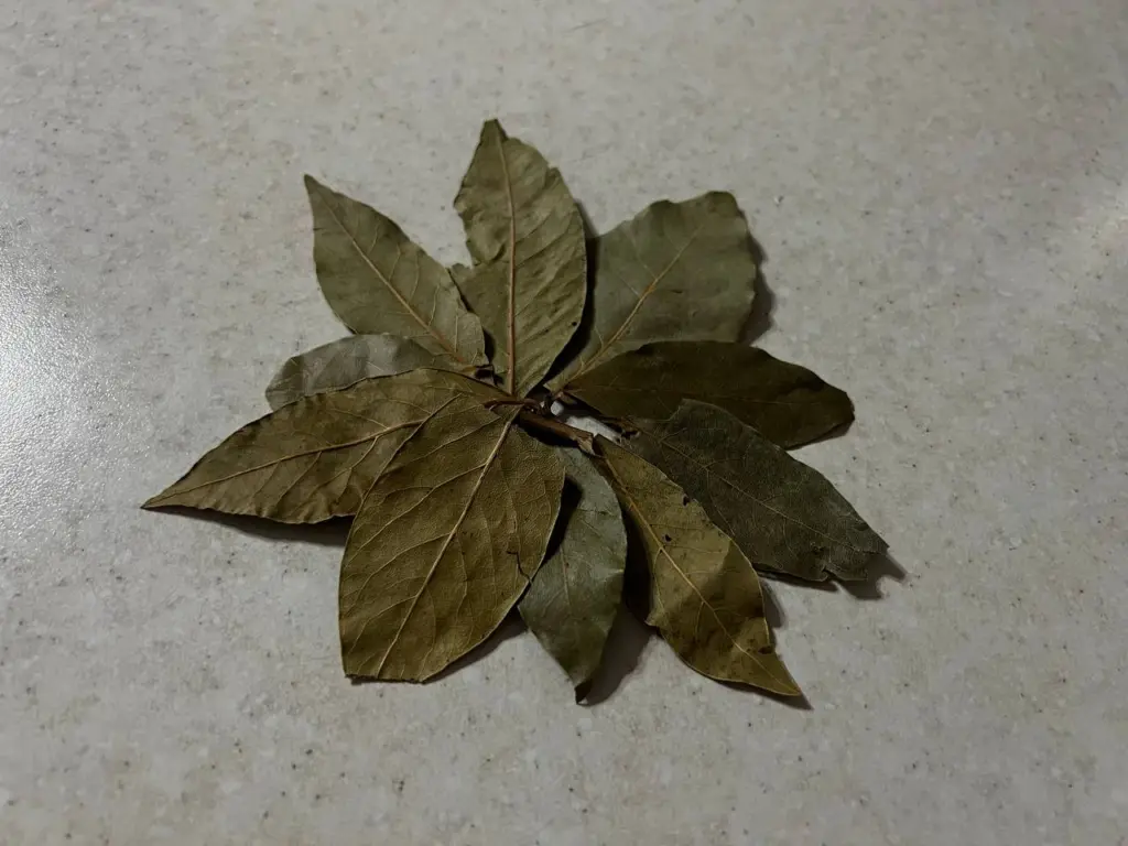 Лавровый лист засыпаю солью — весь октябрь не нарадуюсь своей находке: мудрый совет для домохозяек