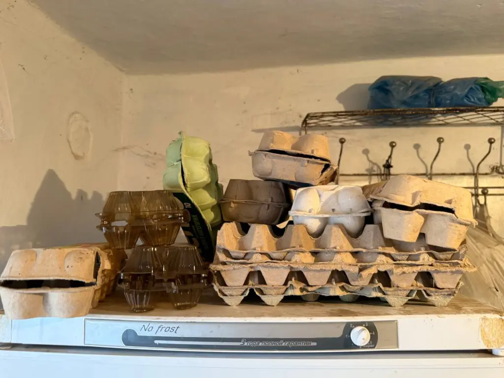 Лотки от яиц спускаю в погреб — и всю зиму слезы счастья утираю: надо не для хранения урожая — эффект стоит многого