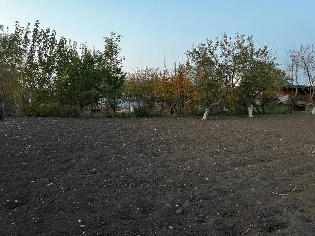 Какие овощи можно посадить под зиму, в конце октября, начале ноября — получи ранний урожай