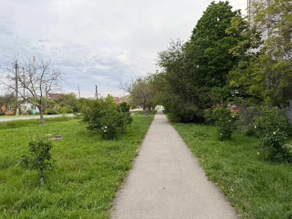 Бабье лето в 2025 году: синоптики назвали точную дату, когда наступит сухая и ясная погода