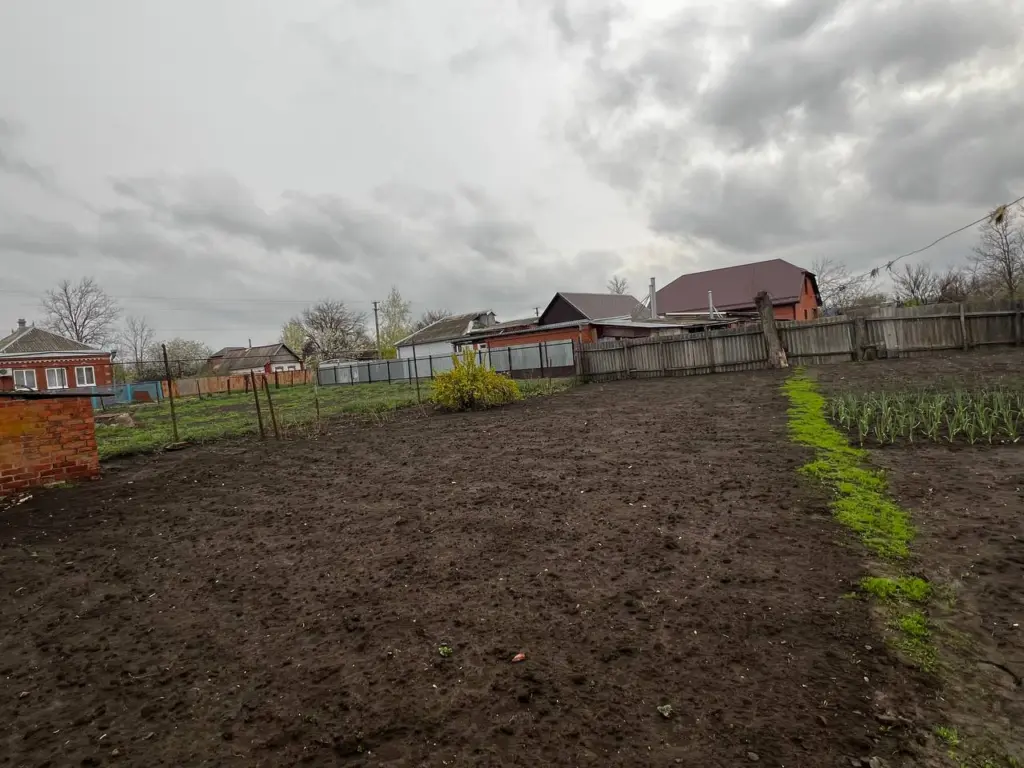 “Медвежья услуга” почве осенью: так доломитовую муку не вносят и грунт так не раскисляют — 3 популярные ошибки лишаю вас плодородия