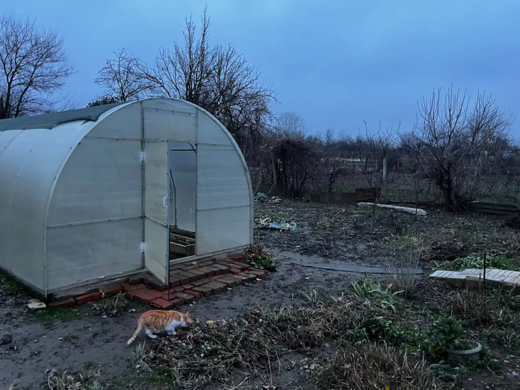 Осенью посыпаю грядки в теплице 1 стаканом такого «порошка» — к весне почва восстанавливается сама по себе