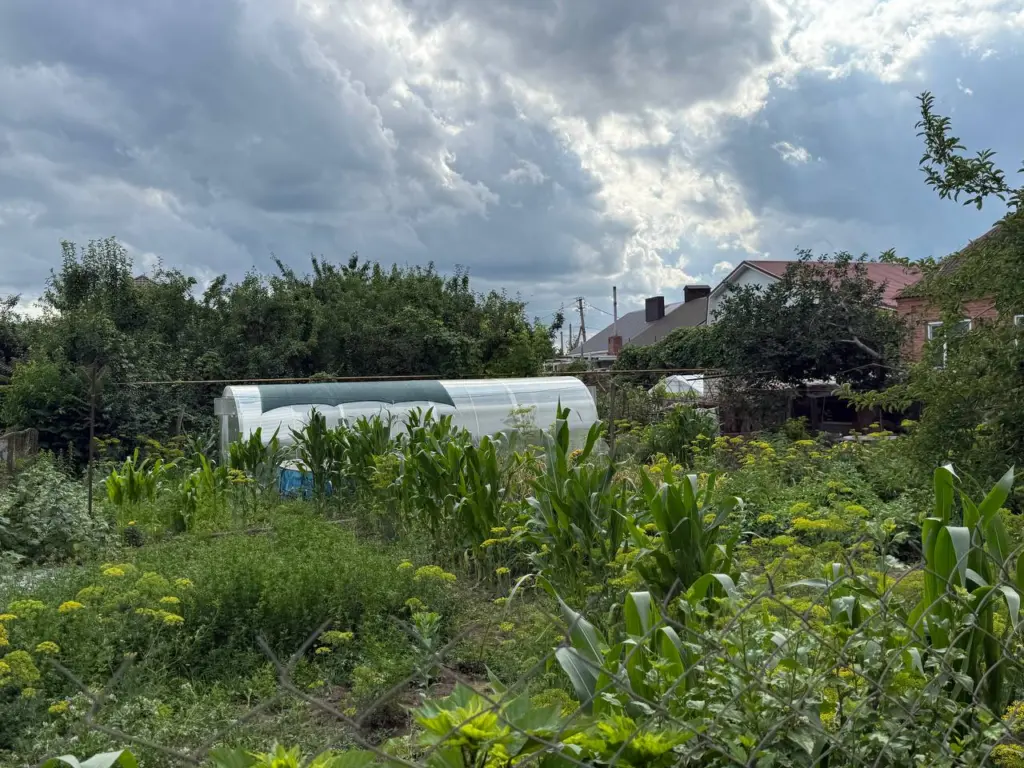 Без грамма навоза: 3 ложки «порошка» на огород — и весной почва буквально пышет плодородием. В октябре — необходимо