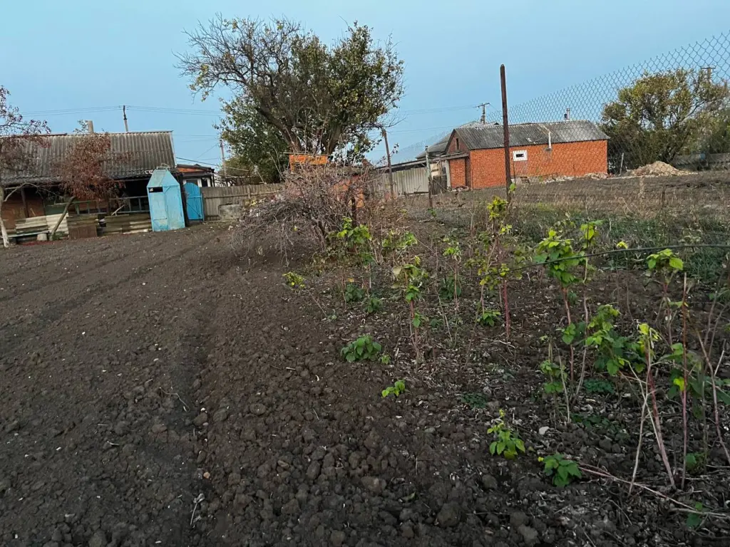 Переехали жить в деревню и только через год только понял, почему в деревнях больше не живут сельским хозяйством — истина была на виду