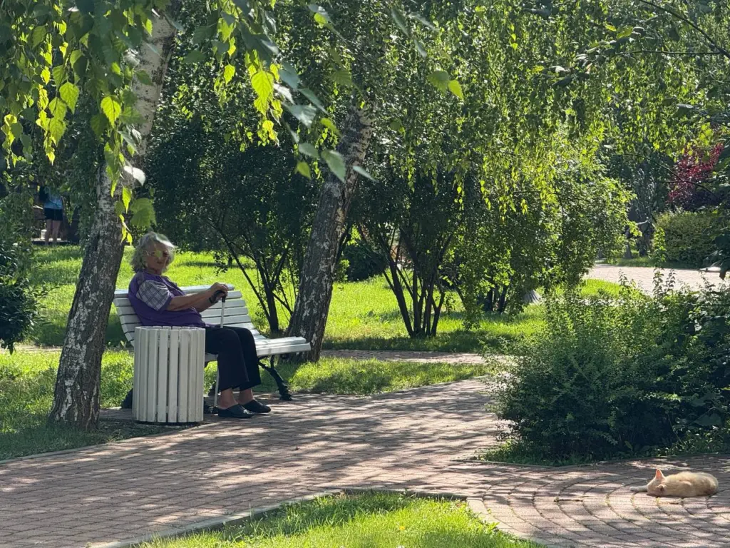 Сохраняем четкую память и ясность ума: простые привычки для ежедневной тренировки мозга