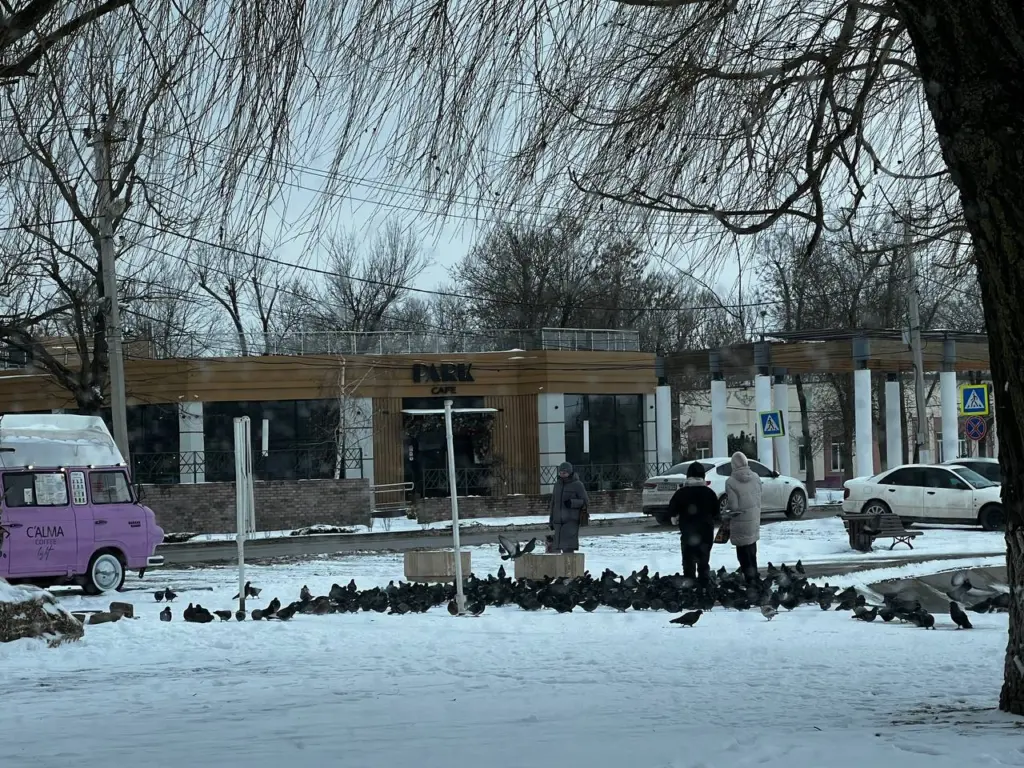 «Эта зима будет безумной»: метеорологи представили обновлённый прогноз на декабрь, январь и февраль