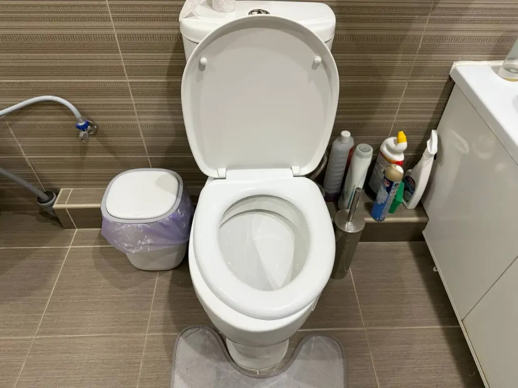 200 граммов этого порошка мигом превратят грязный бачок унитаза в сверкающую чистоту за 4 часа