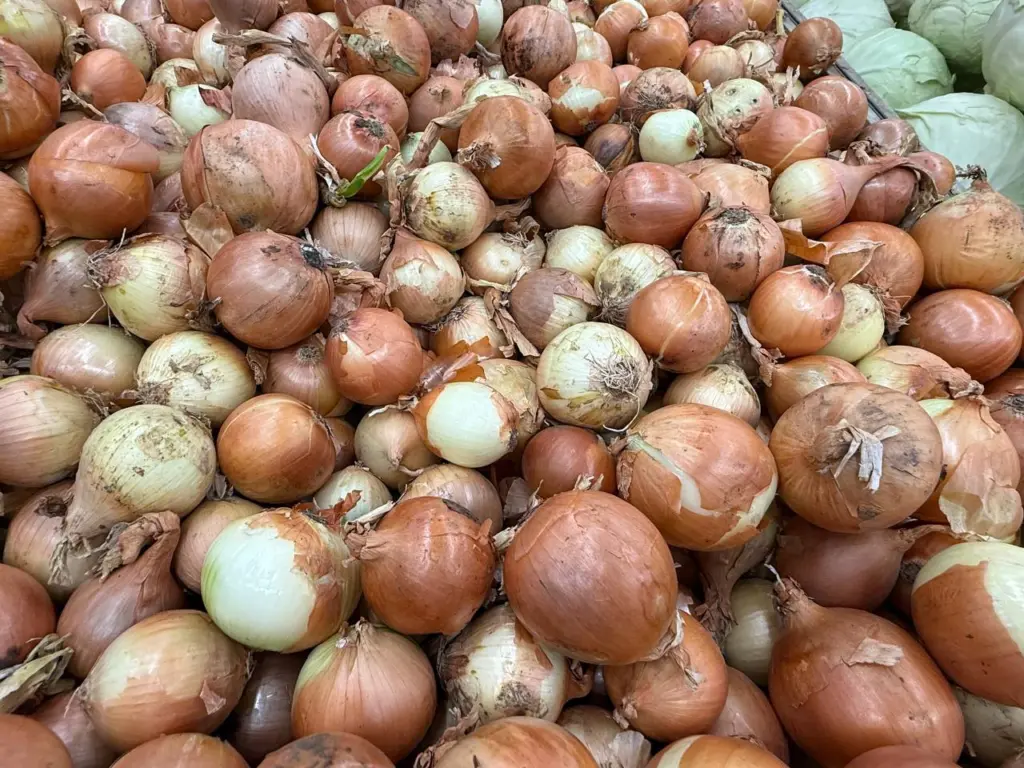 Сохраняю лук без гнили до июня — урожай больше не превращается в кашу