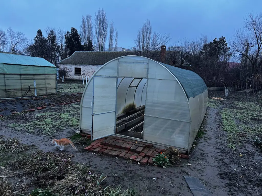 Осенью обязательно посыпаю грядки в теплице 1 стаканом такого «порошка» — к весне почва восстанавливается сама по себе