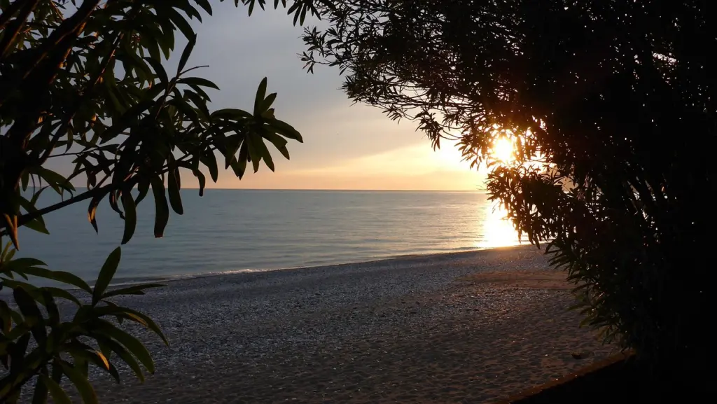 «Хамство, змеи и отвратительная еда»: честные отзывы туристов о визите в Абхазию