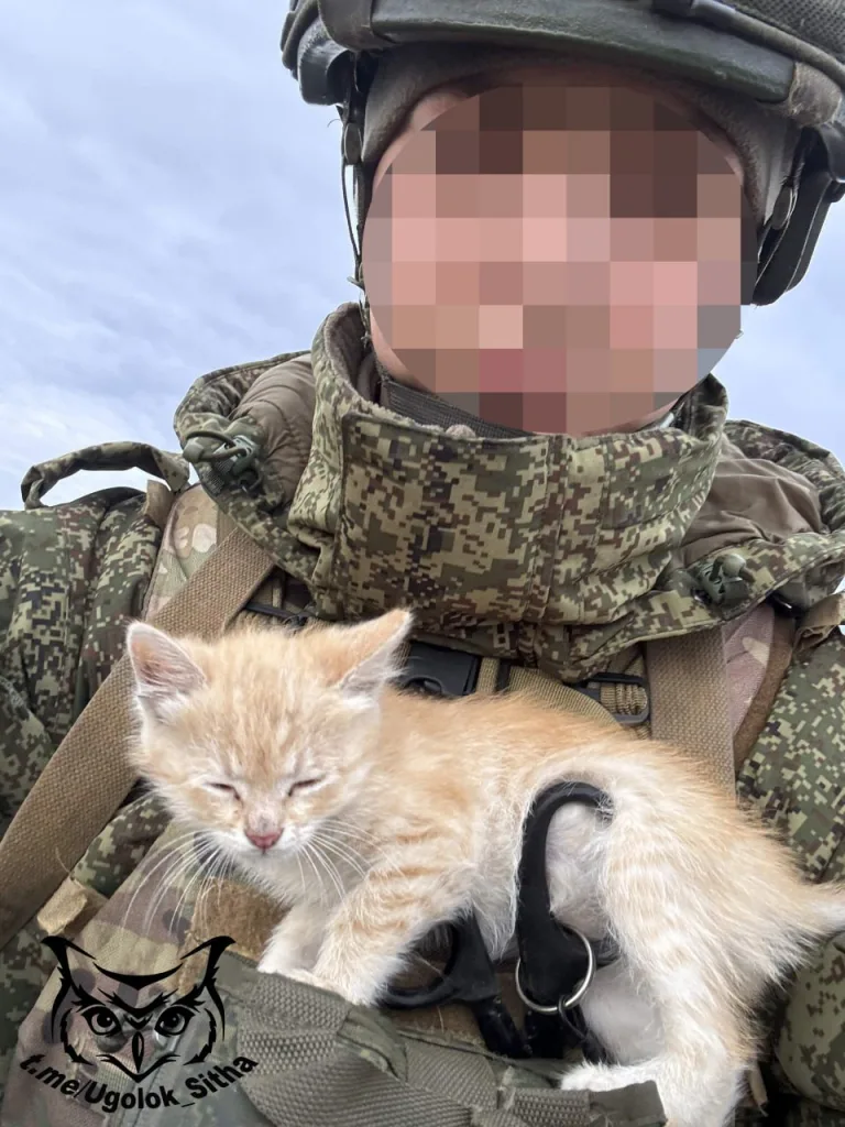 Фронтовые питомцы