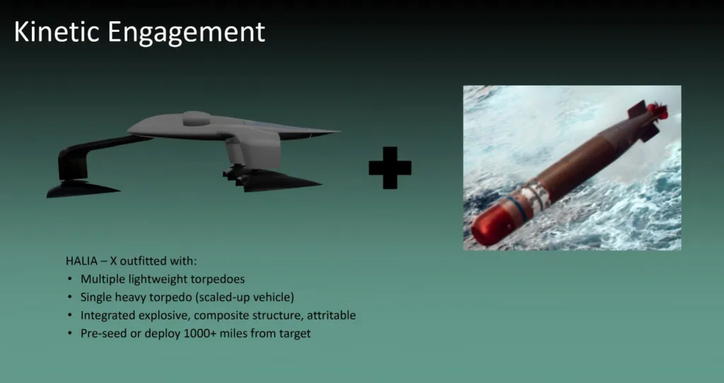 В Чёрном море может появиться новый опасный дрон-амфибия