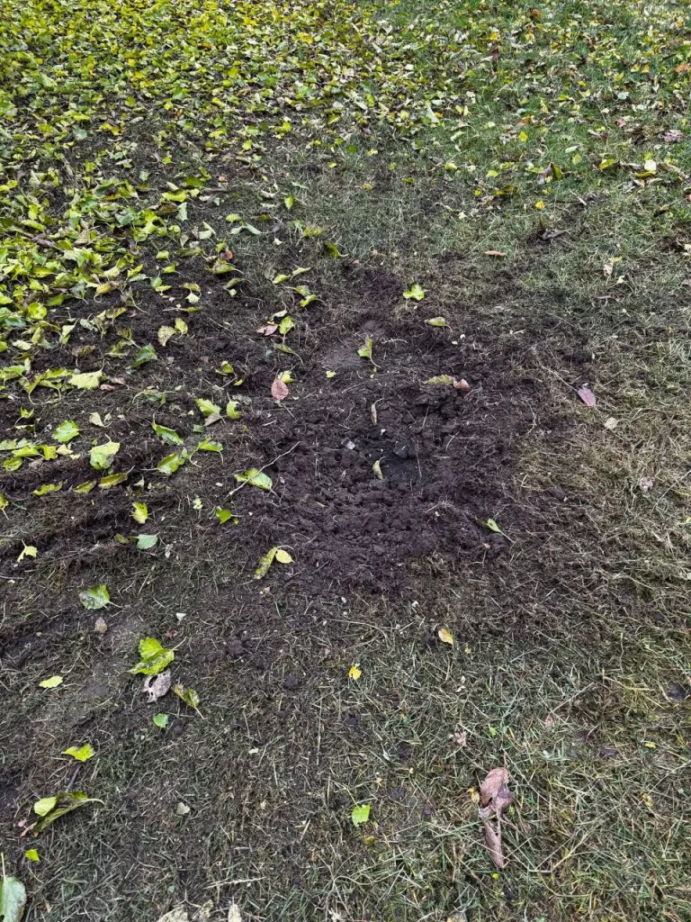 Прилеты "Гераней-2" по целям в городе Новгород-Северский Черниговской области и также характерные следы от попаданий кассетных суббоеприпасов РСЗО "Торнадо-С", также наносившей удар