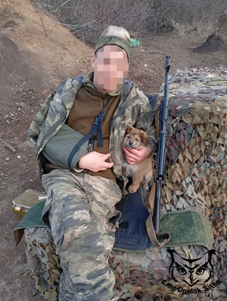 Фронтовые питомцы