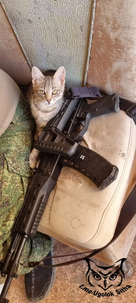 Фронтовые питомцы