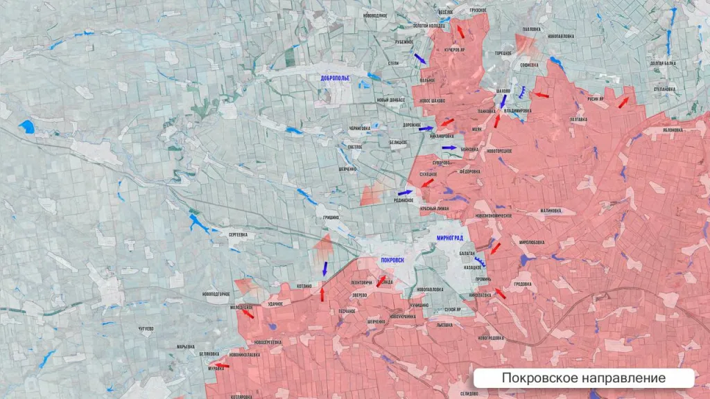 Царев: Фронтовая сводка 12 октября 2025 года