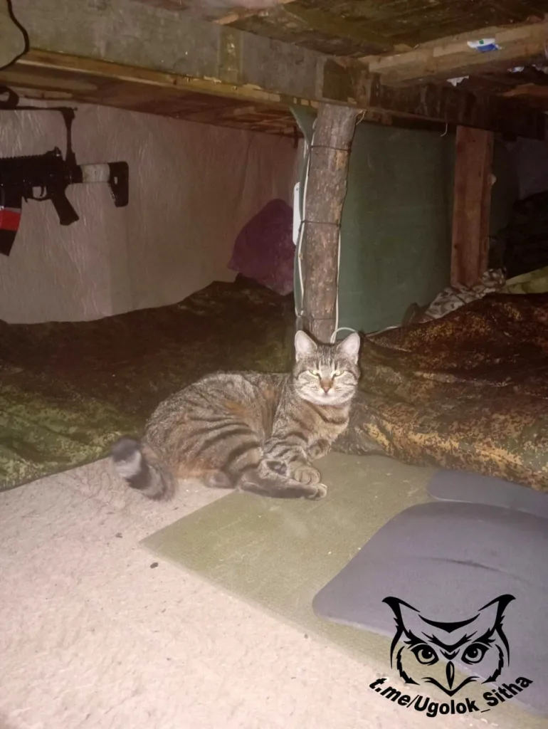 Фронтовые питомцы