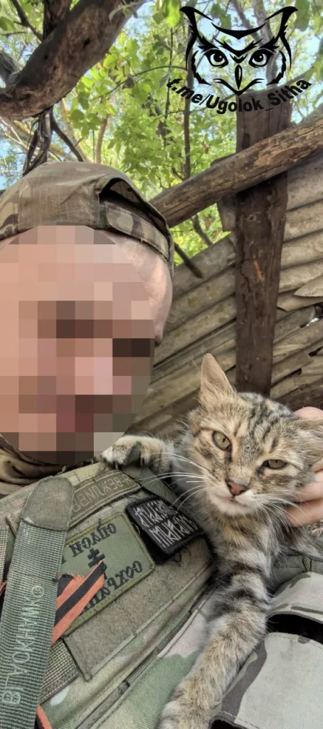 Фронтовые питомцы