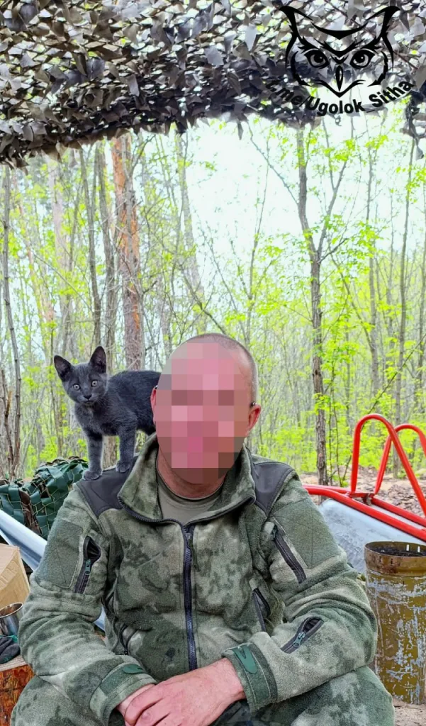 Фронтовые питомцы